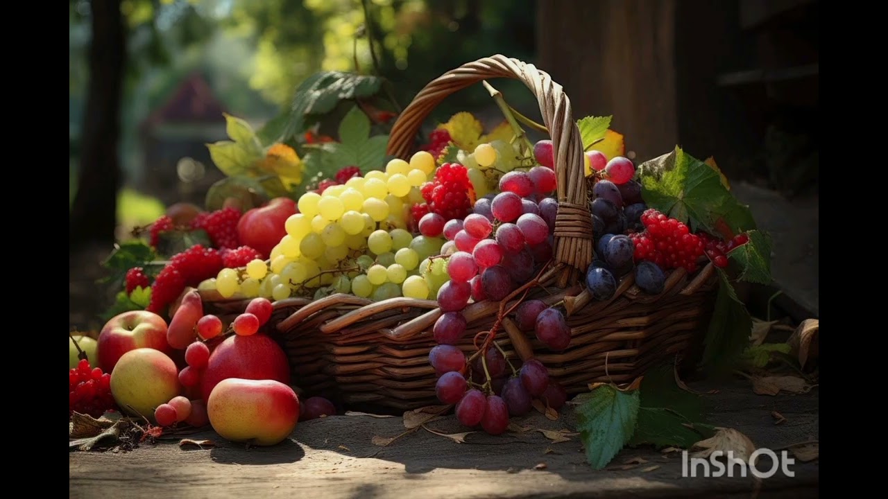 Sarapani - G P Rajaratnam