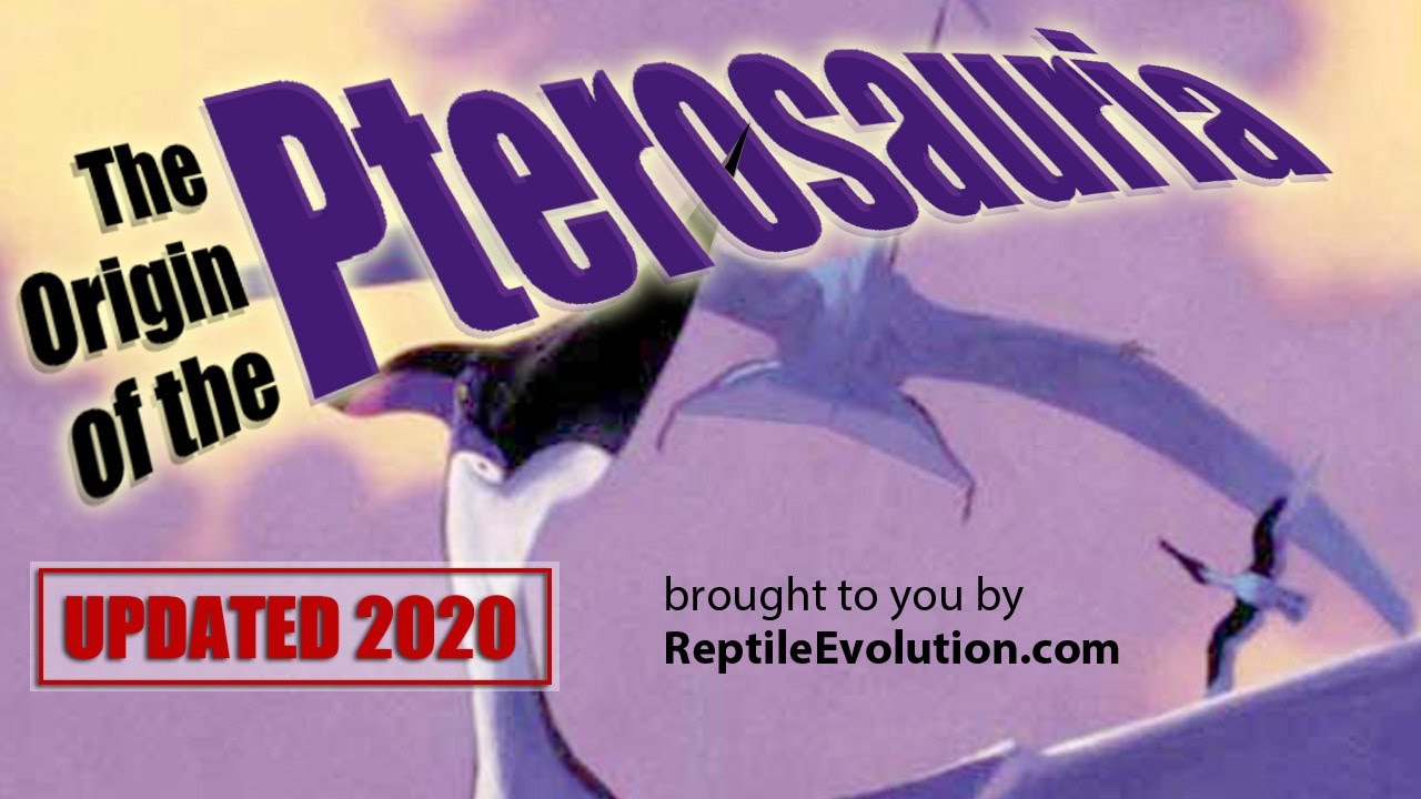 The Origin of the Pterosauria