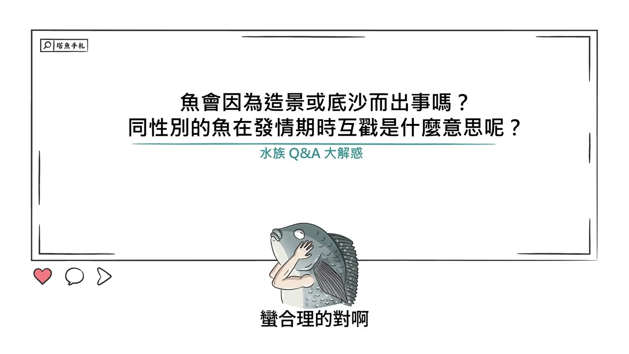 [水族大大不要聽]S2Ep42魚會因為造景或底沙而出事嗎？/同性別的魚在發情期時互戳是什麼意思呢？