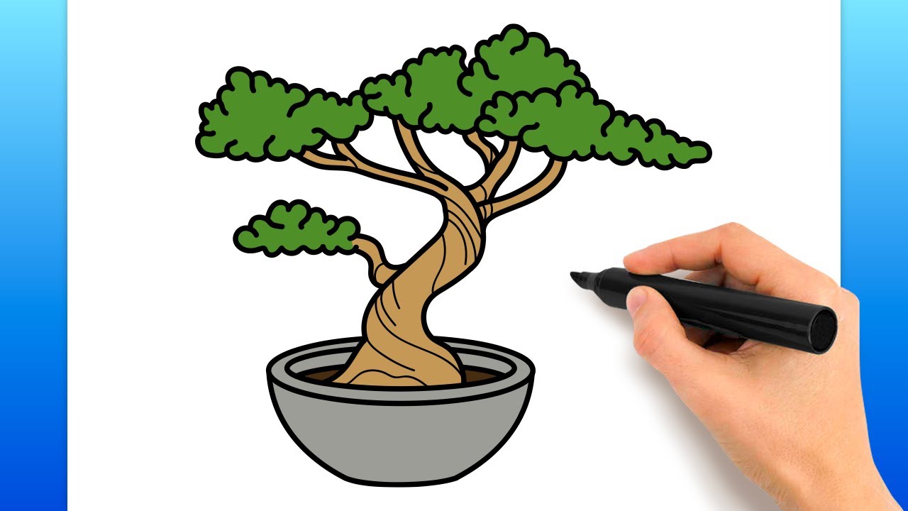 How To Draw A Bonsai Tree (Easy Drawing Tutorial)
