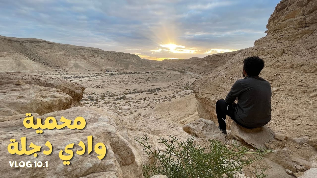 VLOG 10.1 | SOLO Camping - ليلة كاملة ف الصحرا ولكن!