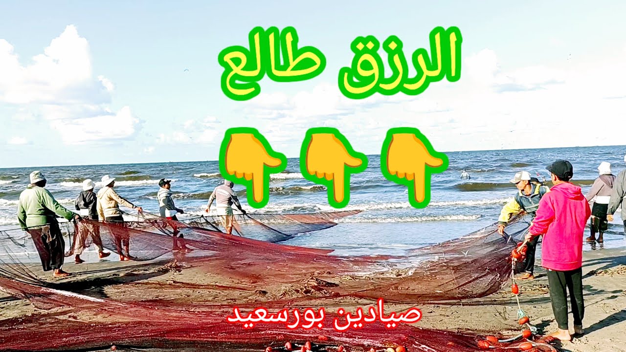 مش هتصدقوا اللى طلع من بحر بورسعيد🤔🤔🤔صيادين بورسعيد وصيد عمرك ماشفته🥰