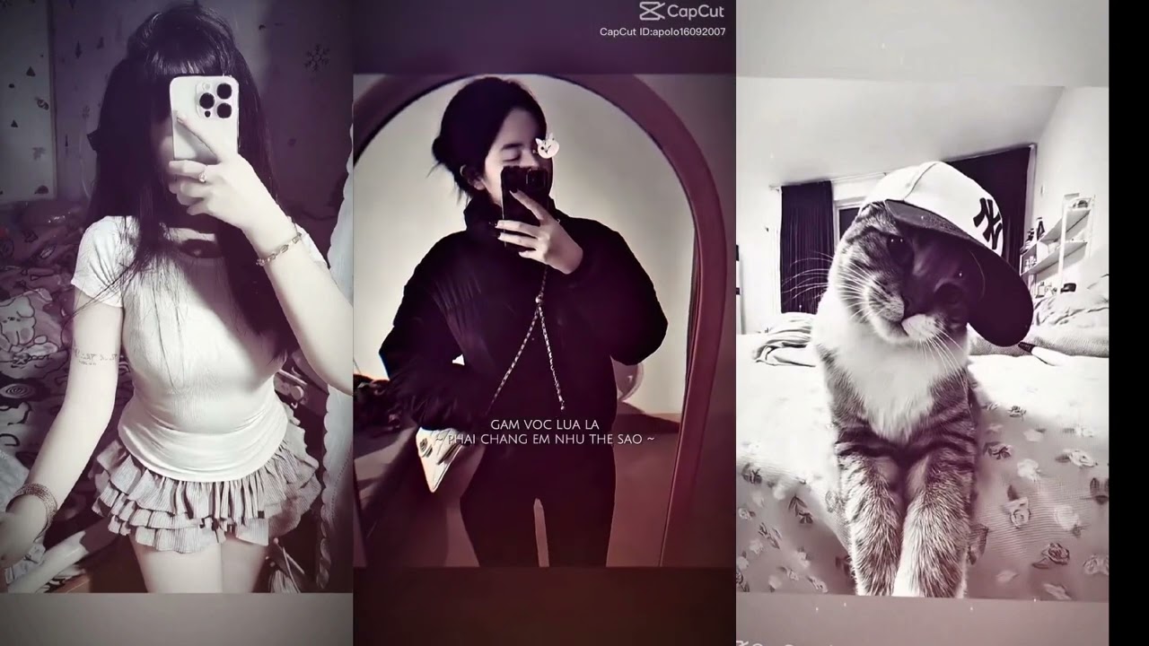 Nhạc hay đây rồi các fen. Hãy nghe nhé.....nhớ ủng hộ tôi nút like và đăng ký kênh giúp tôi nha 