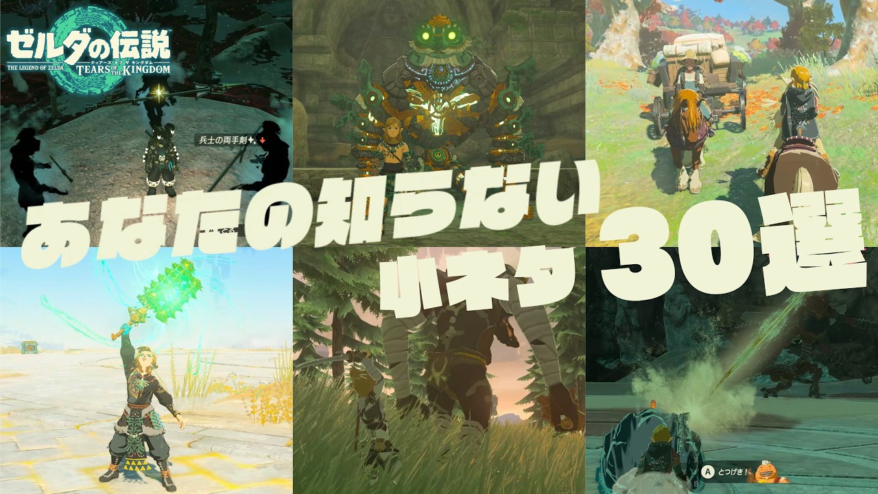 あまり知られていない便利な小ネタ30選【ゼルダの伝説 ティアーズオブザキングダム】