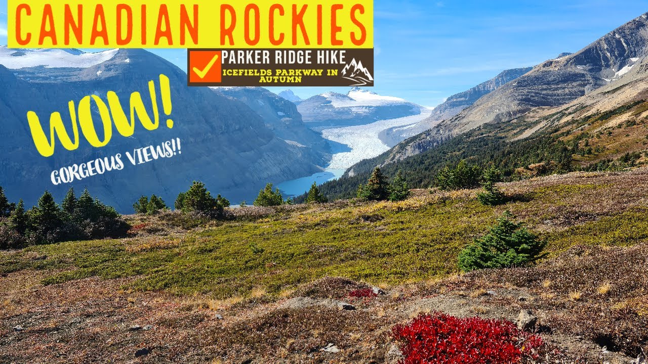 Canadian Rockies - Fantastic 🍁Autumn🍁 Hike on the Stunning Parker Ridge Trail - 
