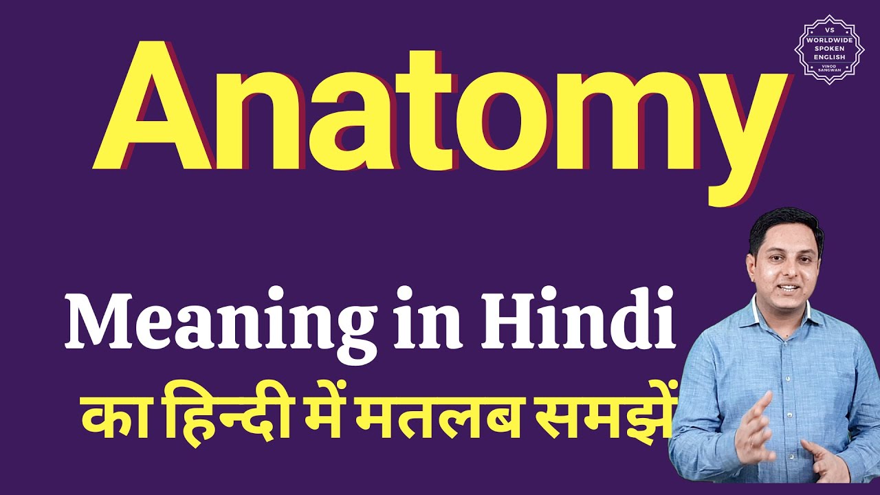 Anatomy meaning in Hindi | Anatomy ka kya matlab hota hai | online English speaking classes