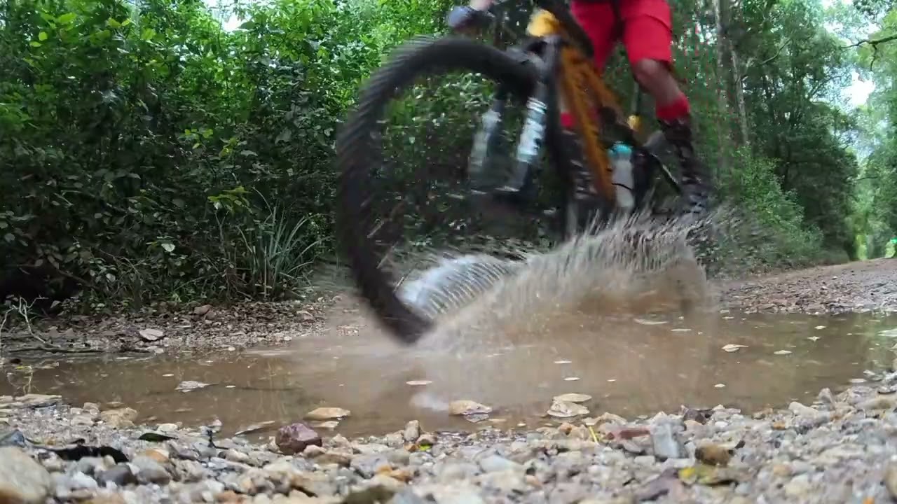 MTB ROUTES Trail Blog: Harkerville Route Overview