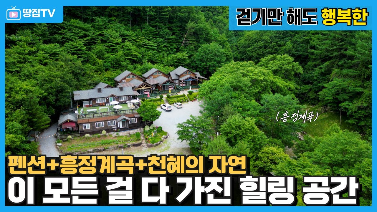 흥정계곡 최상류 '숨겨진 힐링 펜션' 프라이빗한 계곡과 산책로까지 전부 내꺼! #흥정계곡 #흥정계곡펜션 #평창펜션 #계곡펜션
