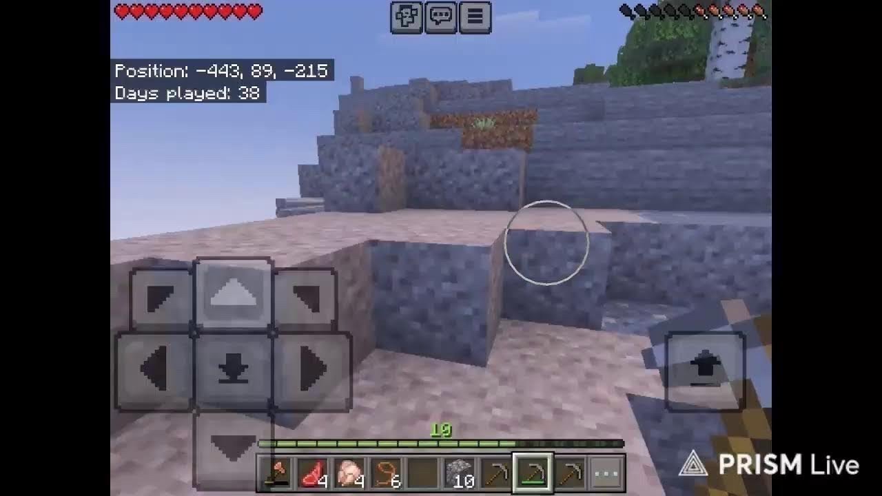 Minecraft Part 9 (im sick)