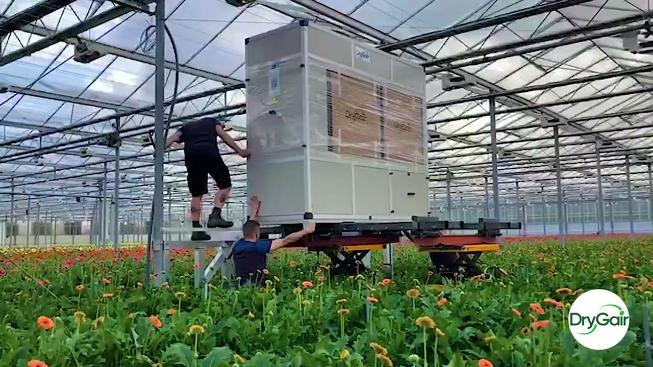 New DG Dehumidifiers Being Installed at Gerbera United