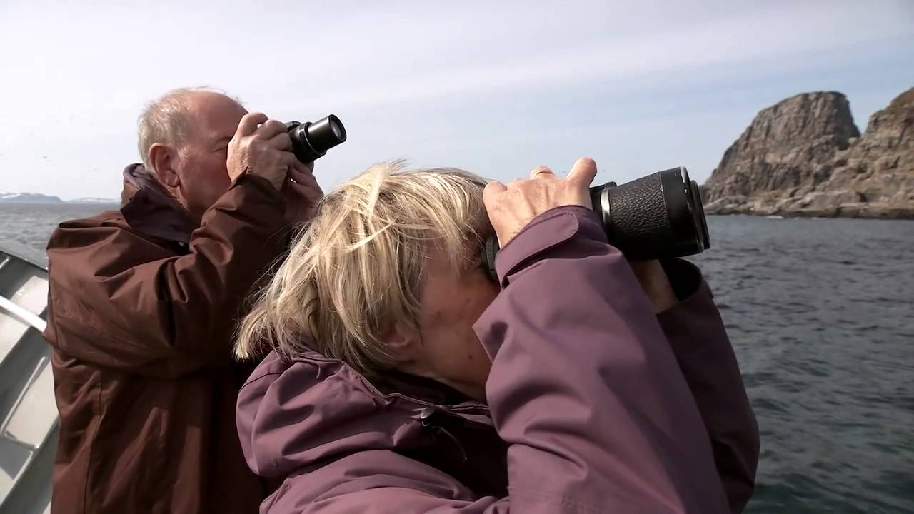 Bird Watching Safari in Norway