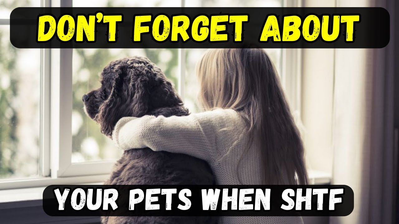 Prepping With Pets: SHTF Survival Guide for Pet Owners