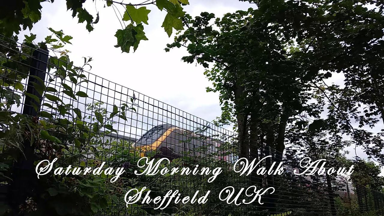 Random Saturday Morning Walk