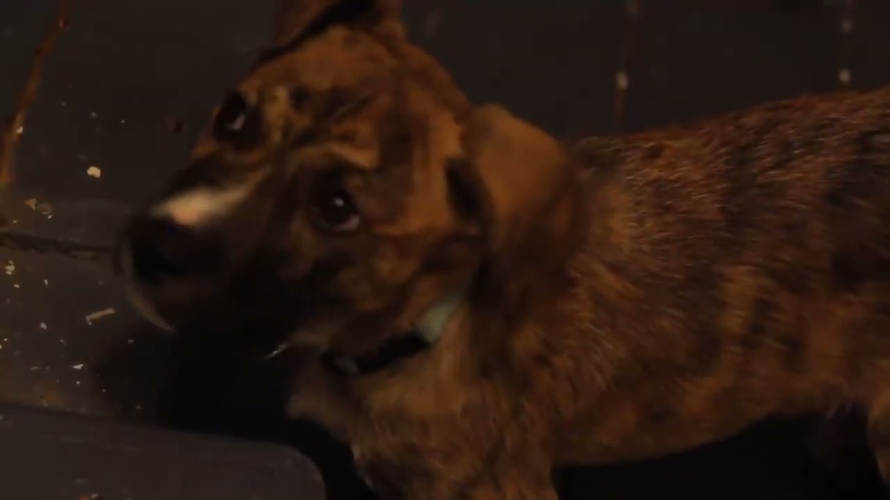 Alex G - After Ur Gone (Personal Video)
