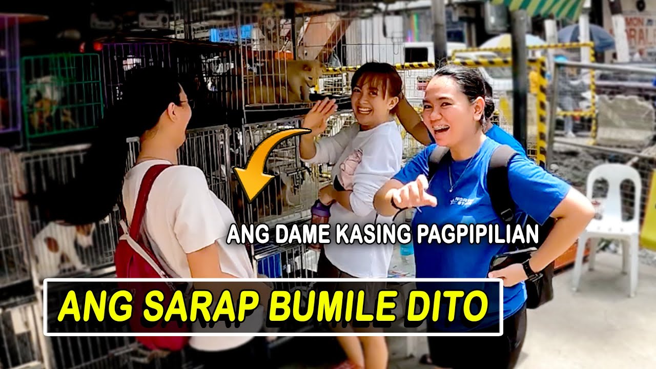 MARAMENG PAPARATING NA PUPPIES BUKAS / ARRANQUE SCENE