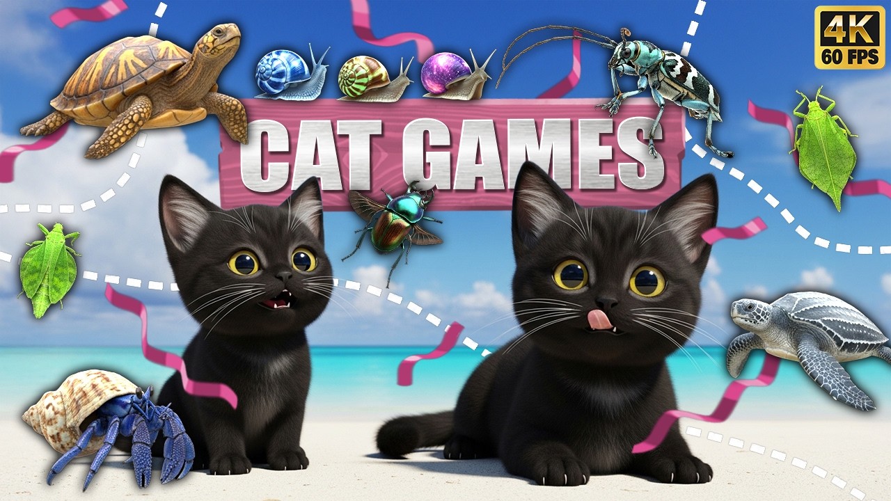 CAT GAMES 🐾3D Game for Cats | Video for Cats – Ultimate CAT TV #170😻 4K60FPS