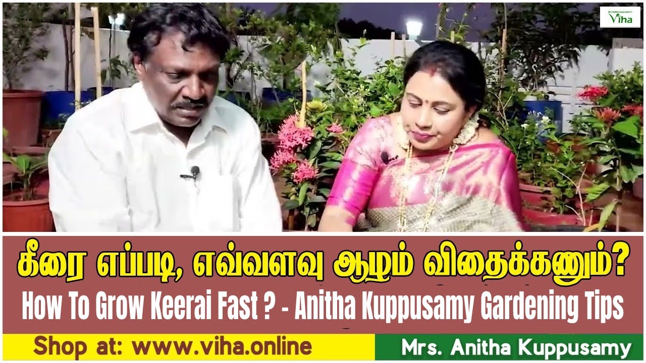 Anitha Kuppusamy Mottai Maadi thottam | மாடியில் கீரை வளர்ப்பது எப்படி?