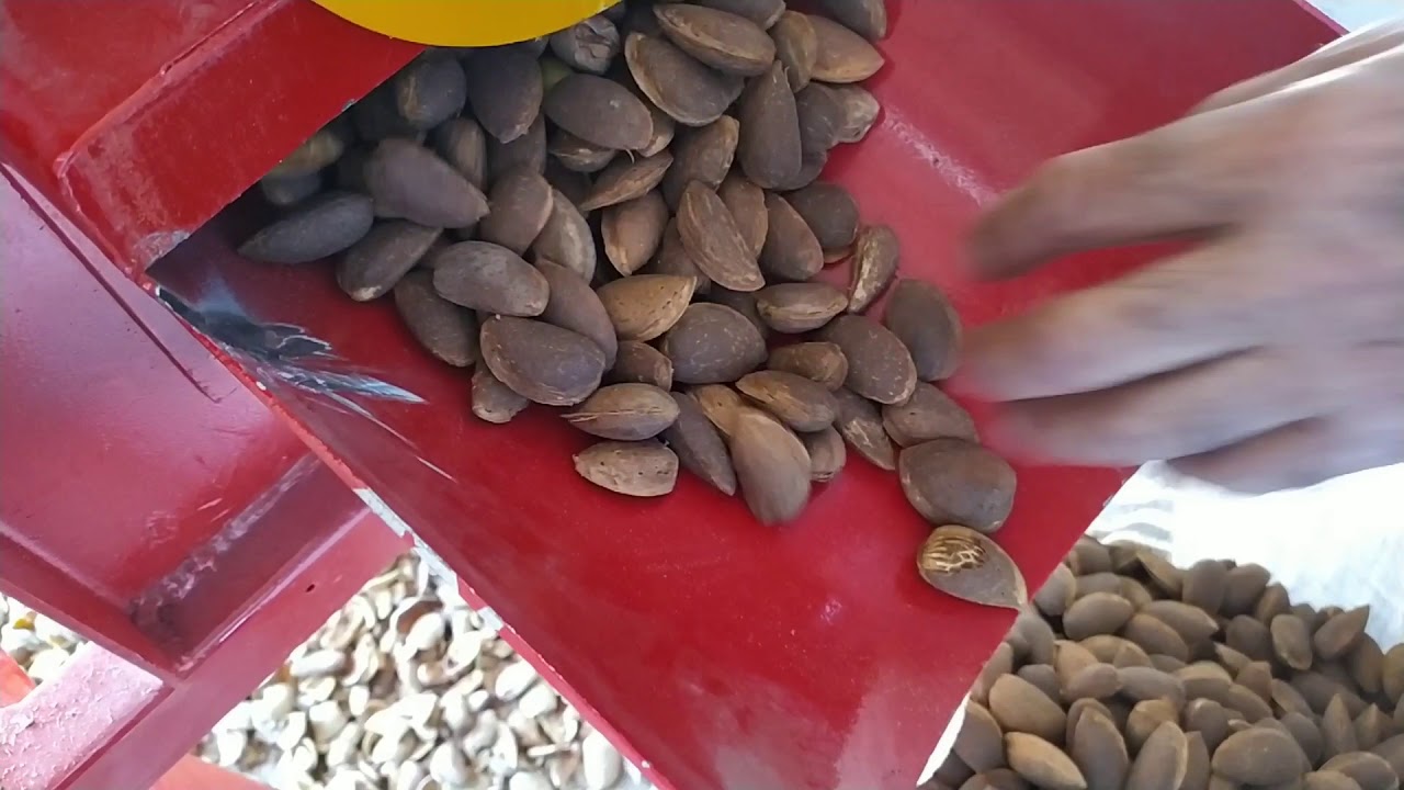 Badem soyma makinası