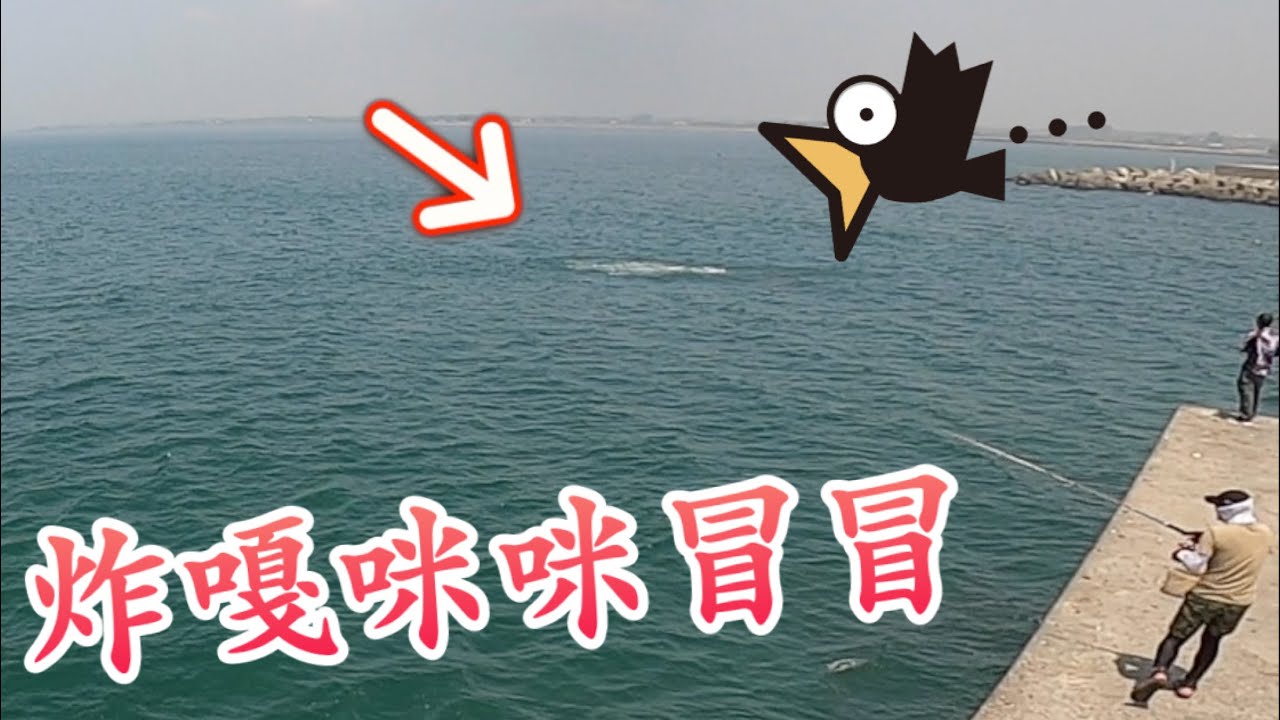大型水花秀炸嘎咪咪冒冒，南部漁港岸拋也能釣到這種大魚？鐵板弓角攻略#赫馬士~Something big attacking bait ball at harbor of southern Taiwan