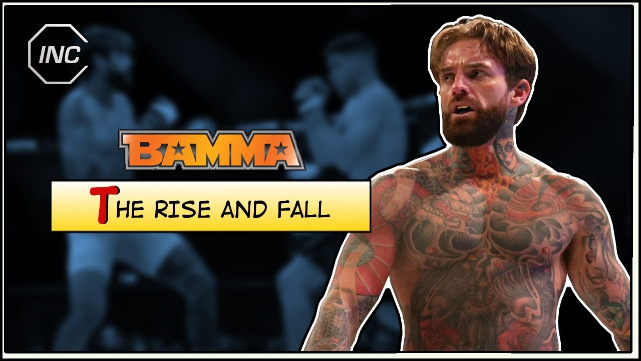 Взлет и падение BAMMA