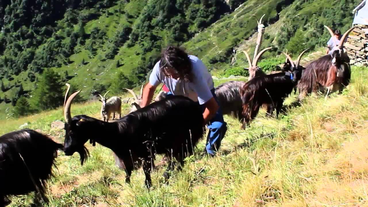 Gli alpeggi di Lombardia