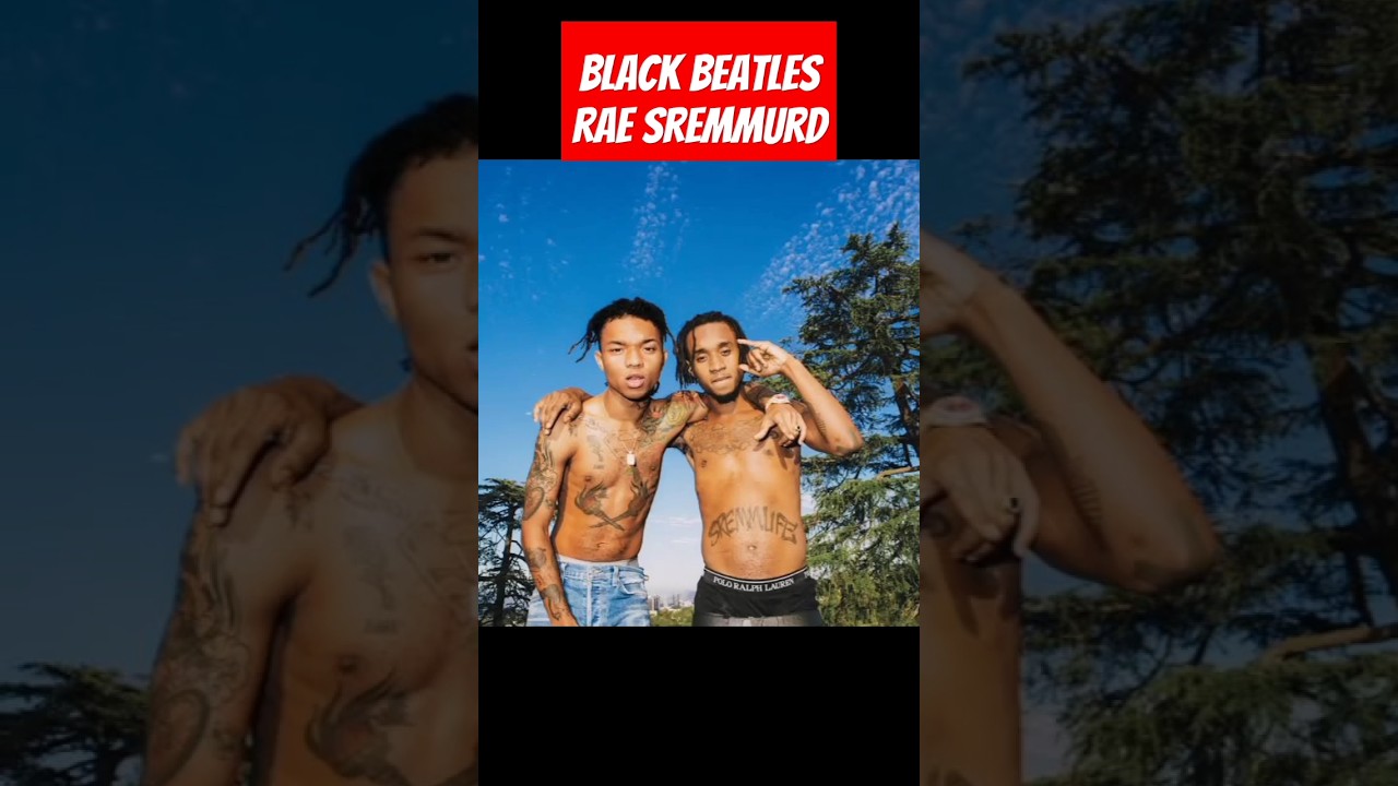 black beatles rae sremmurd ft. Guccimane #subcribe #hiphop #raesremmurd #guucimane#peace out ✌✌✌✌✌✌✌