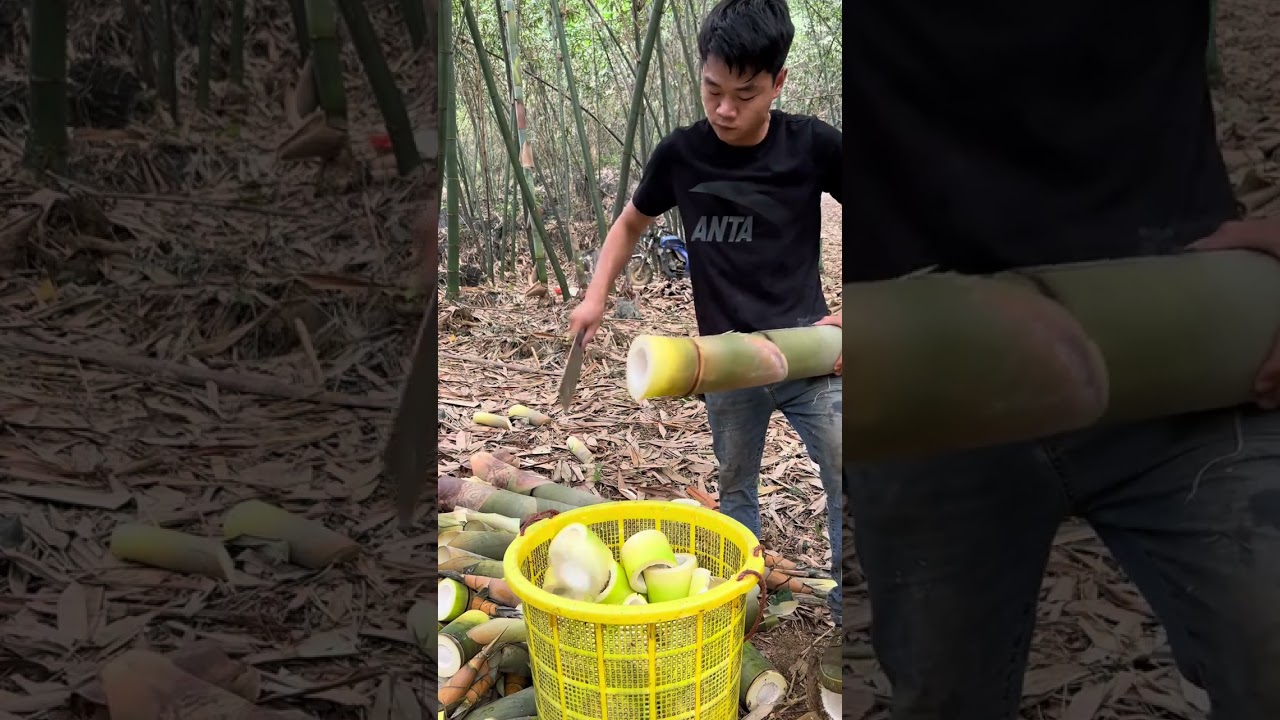 Mastering the Art of Bamboo Chopping.