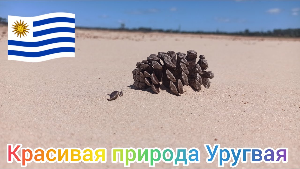 Очаровательная и прекрасная дикая природа Уругвая