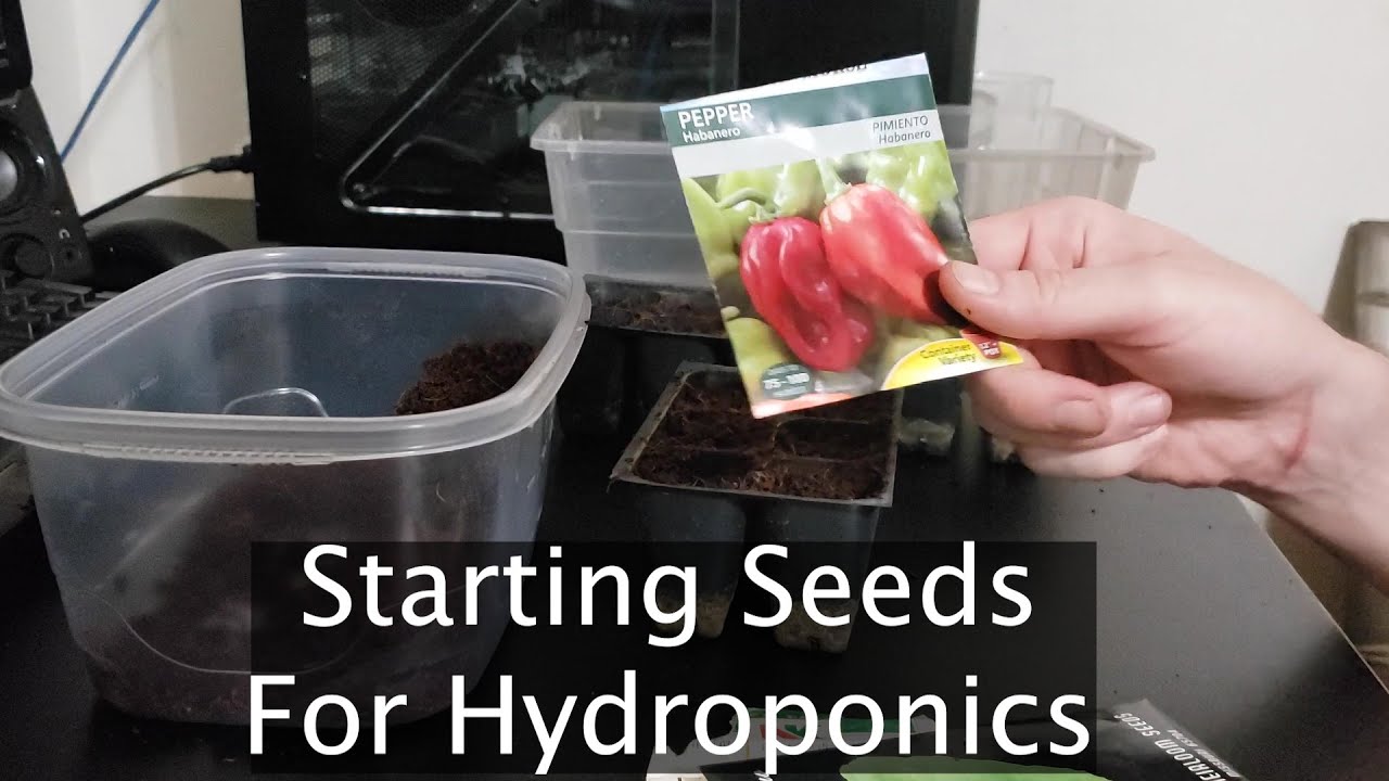 Starting Seeds for Hydroponics | Vegetables & Herbs |
