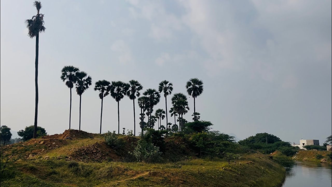 தமிழில் Decluttering the village way 
