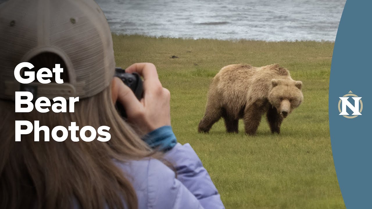 Alaska Bear Photography Tutorial with Wildlife Photographer Court Whelan, Ph.D.