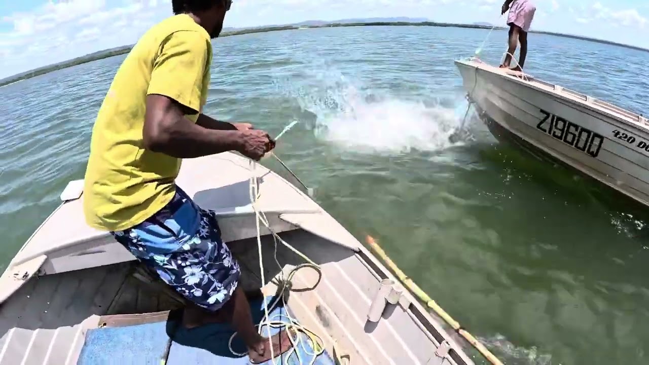 TURTLE HUNTING 
