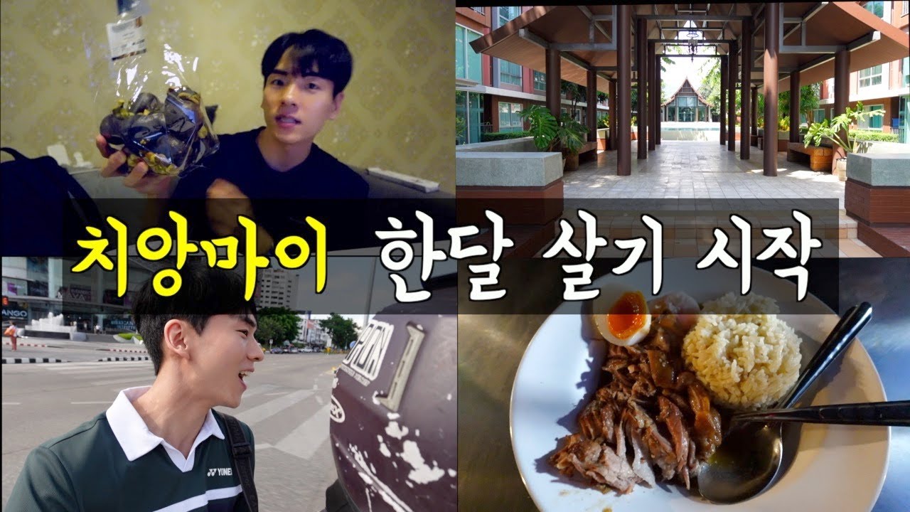 퇴사 후 혼자 치앙마이 한달살기 | 🇹🇭치앙마이1