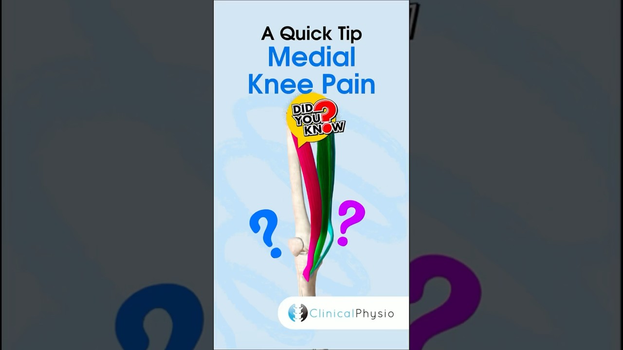 Medial Knee Pain #physicaltherapy #physiotherapy #anatomy #kneepain #knee #bursitis #pesanserine