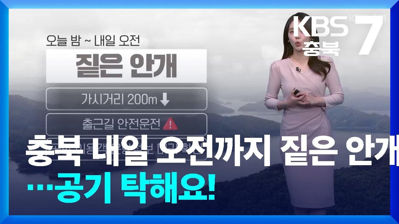 [날씨] 충북 내일 오전까지 짙은 안개…공기 탁해요! / KBS  2026.02.11.