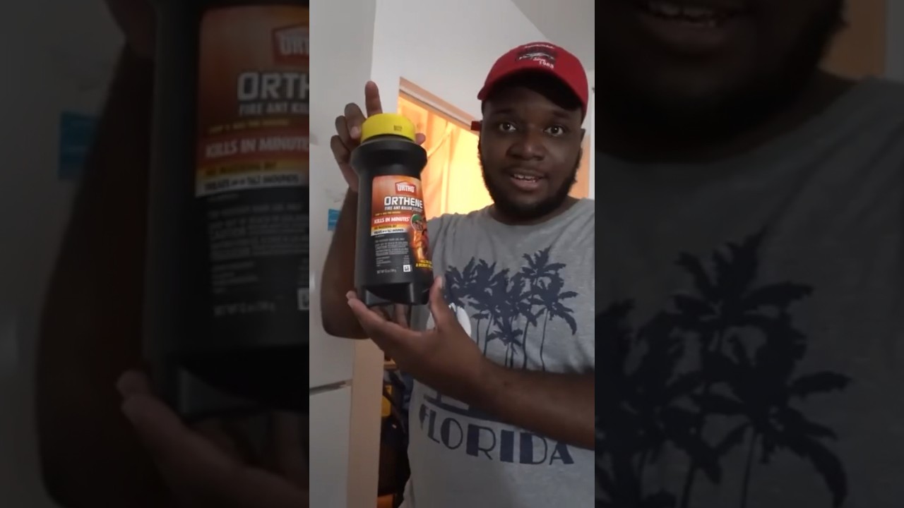 How To Get Rid Of Roaches