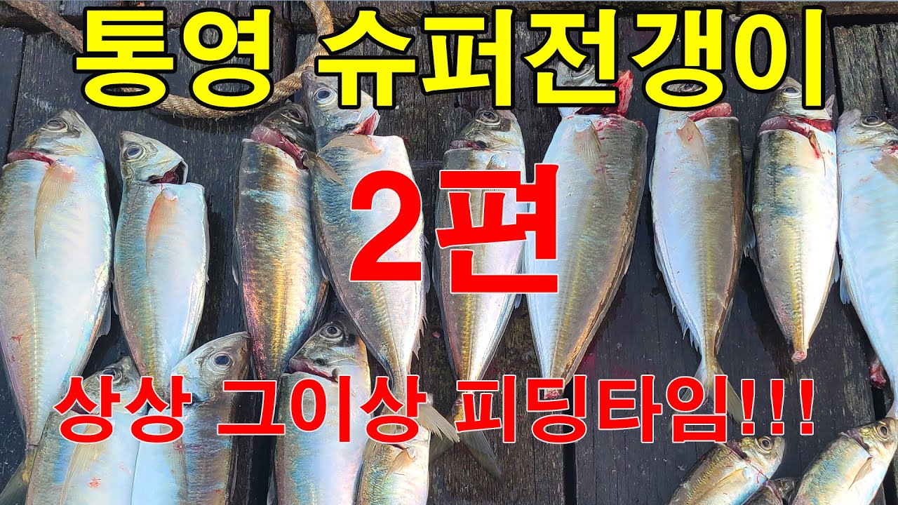 슈퍼전갱이 낚시2편 대전갱이만 계속올라오는 피딩타임 1시간!!!