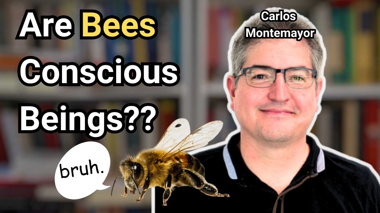 How to Think About Non-Linguistic Conscious Animals