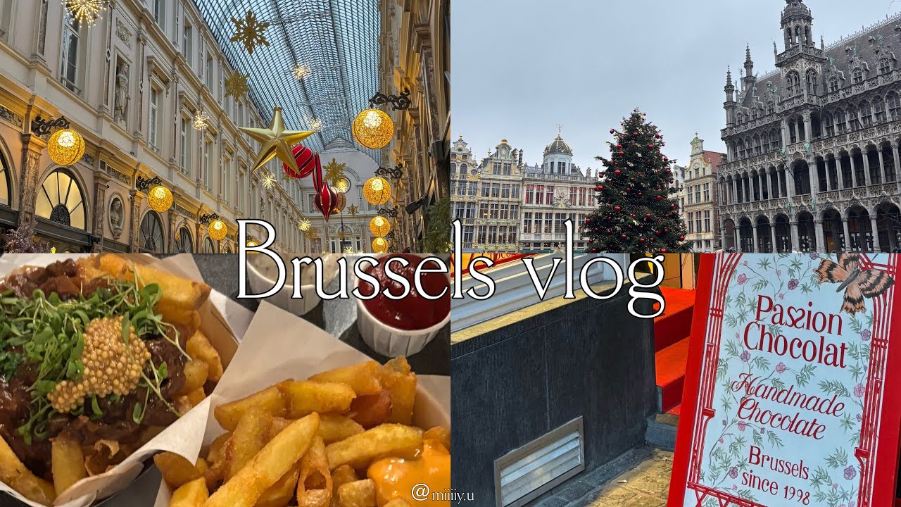 【Brussels vlog🇧🇪】日帰りブリュッセル旅行/ベルギー観光/チョコレート/グランプラス/MAISONDANDOY/ワッフル/ポテト/クリスマスマーケット