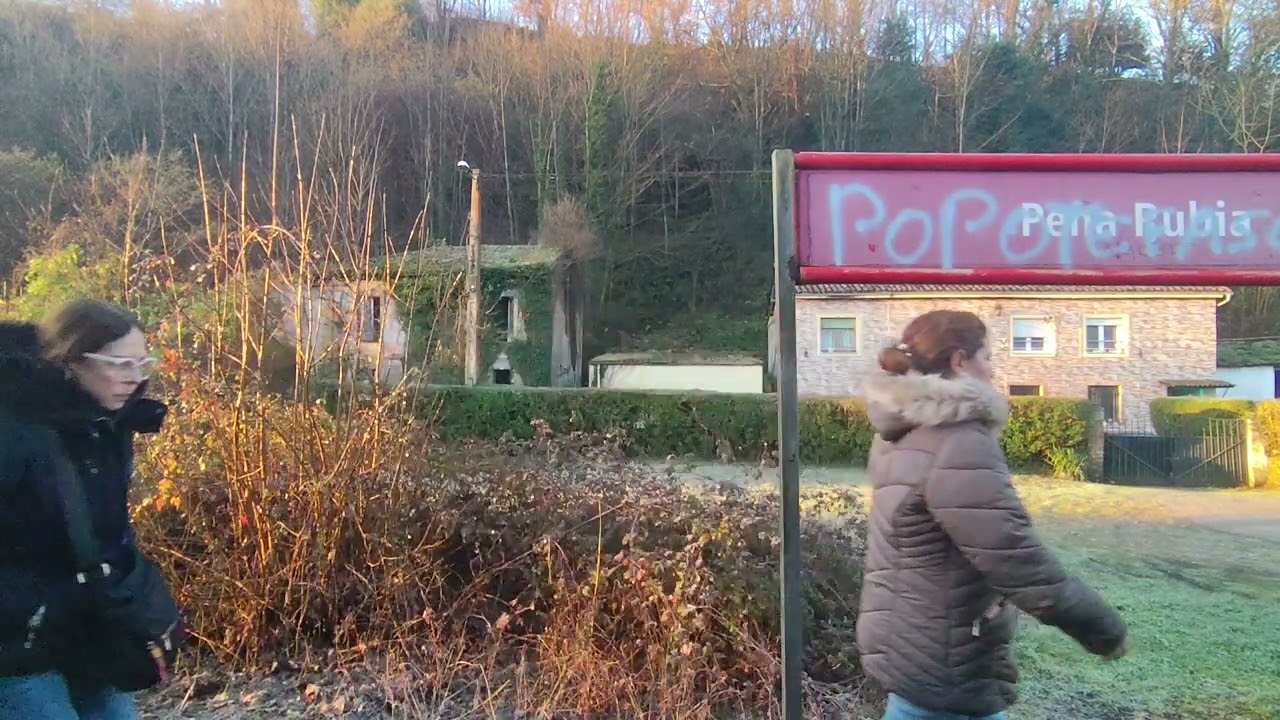 Viaje en Renfe Civia (463) desde Sama hasta Tudela Veguín