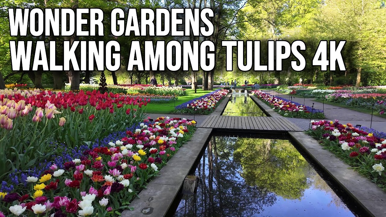 Keukenhof 2025 |  4K Tulip Walk