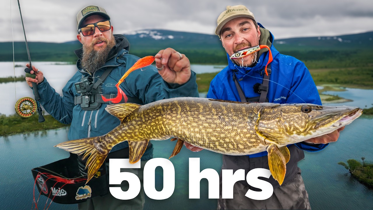 50 Hours to Catch the BIGGEST Pike 🏆 (Lure vs Fly Fishing)