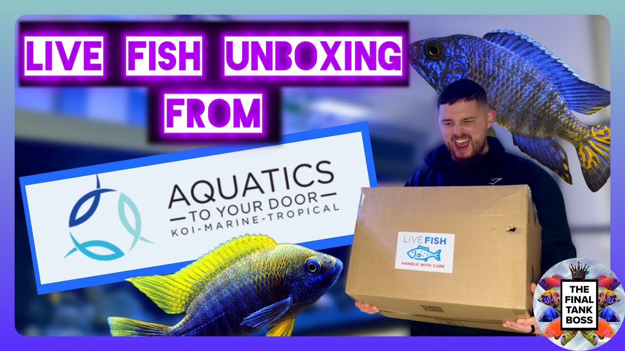 Unboxing LIVE Fish for My Tank (You Won’t Believe The Cichlid I Pulled!)
