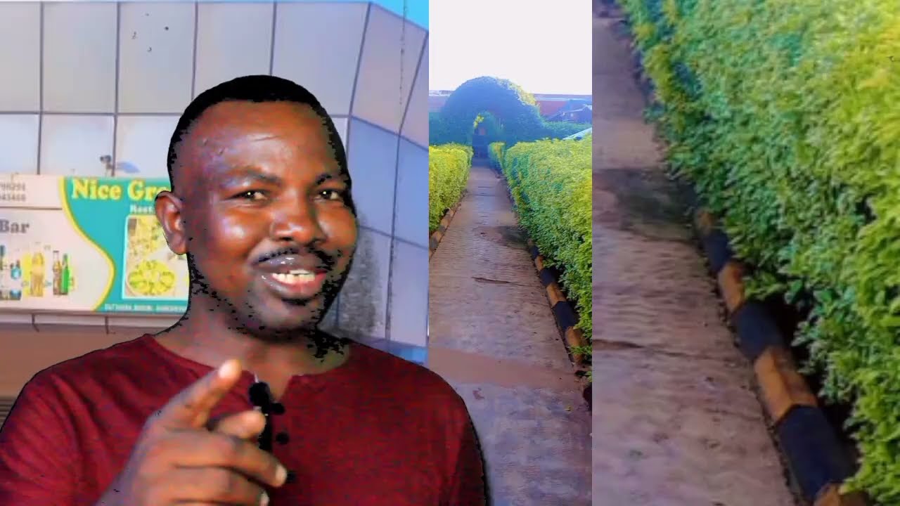 Ibanga wakoresha ugatera imbere Guhanga udushya