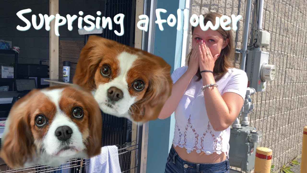 SURPRISING A FOLLOWER FOR HER BIRTHDAY