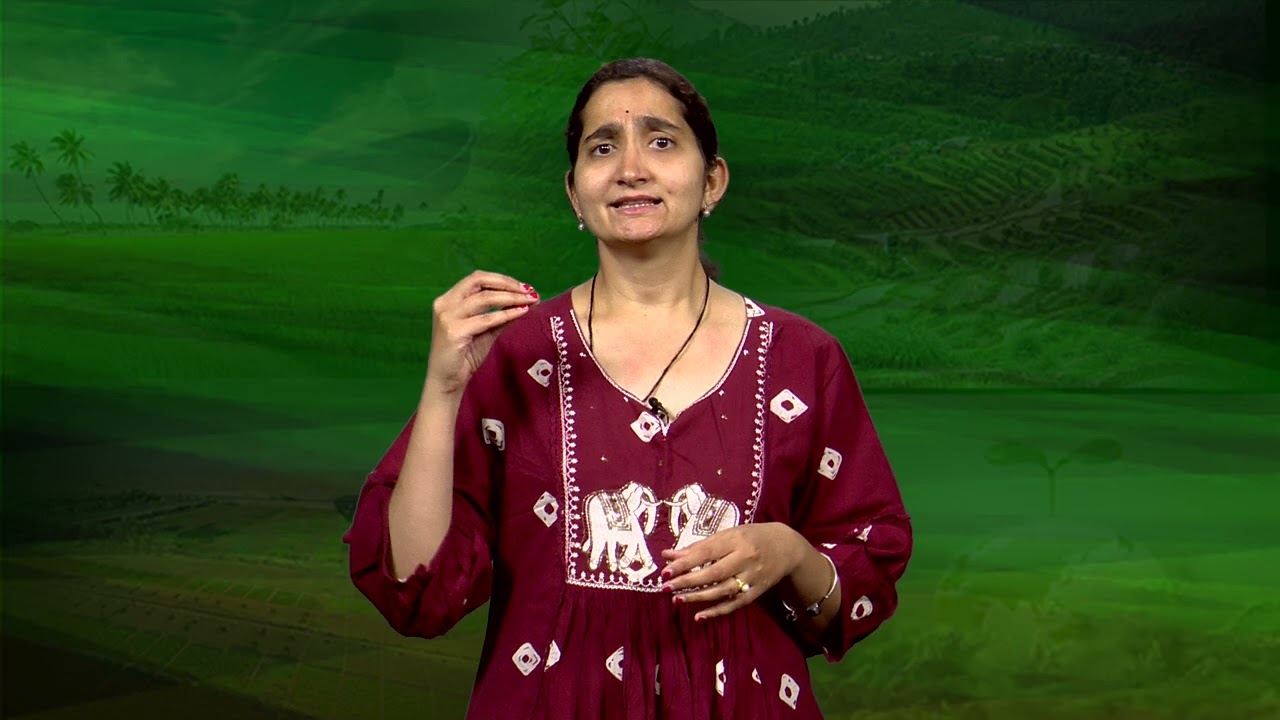 DISASTER RESILIENCE, INNOVATIONS AND FUTURE PATHWAYS FOR CLIMATE ADAPTATION part 1