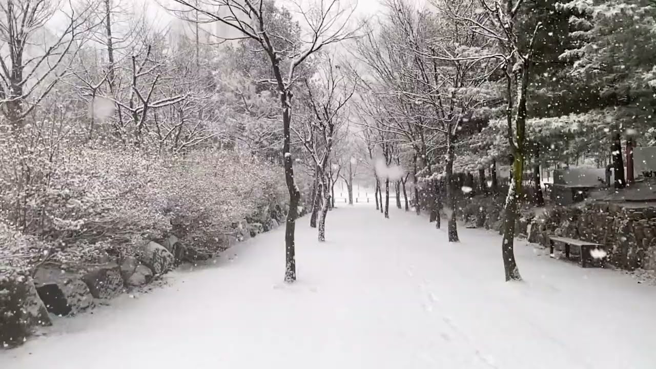 Amator -  Snowfall  Instrumental music