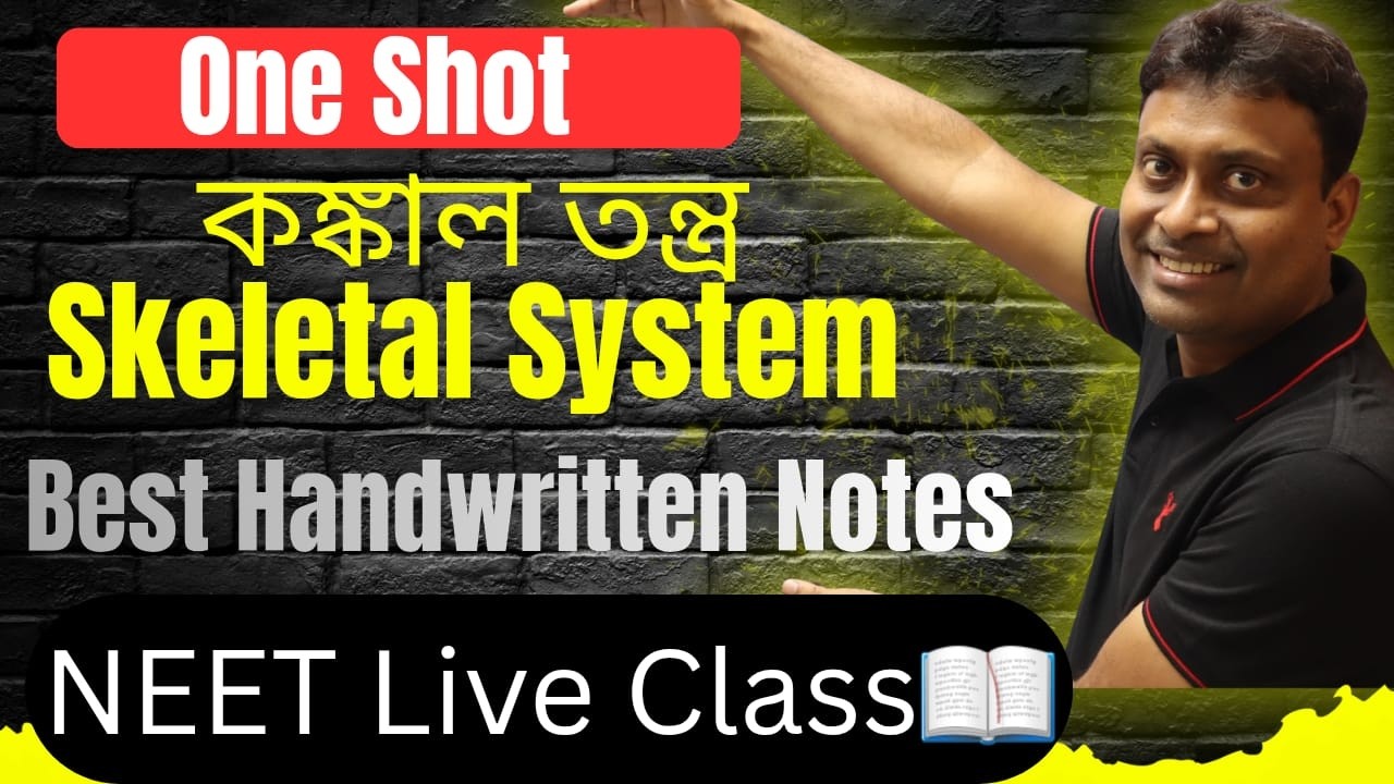 Human Skeletal System || ONE SHOT || 11th Biology || 100% NCERT Cover || Best Handwritten Notes