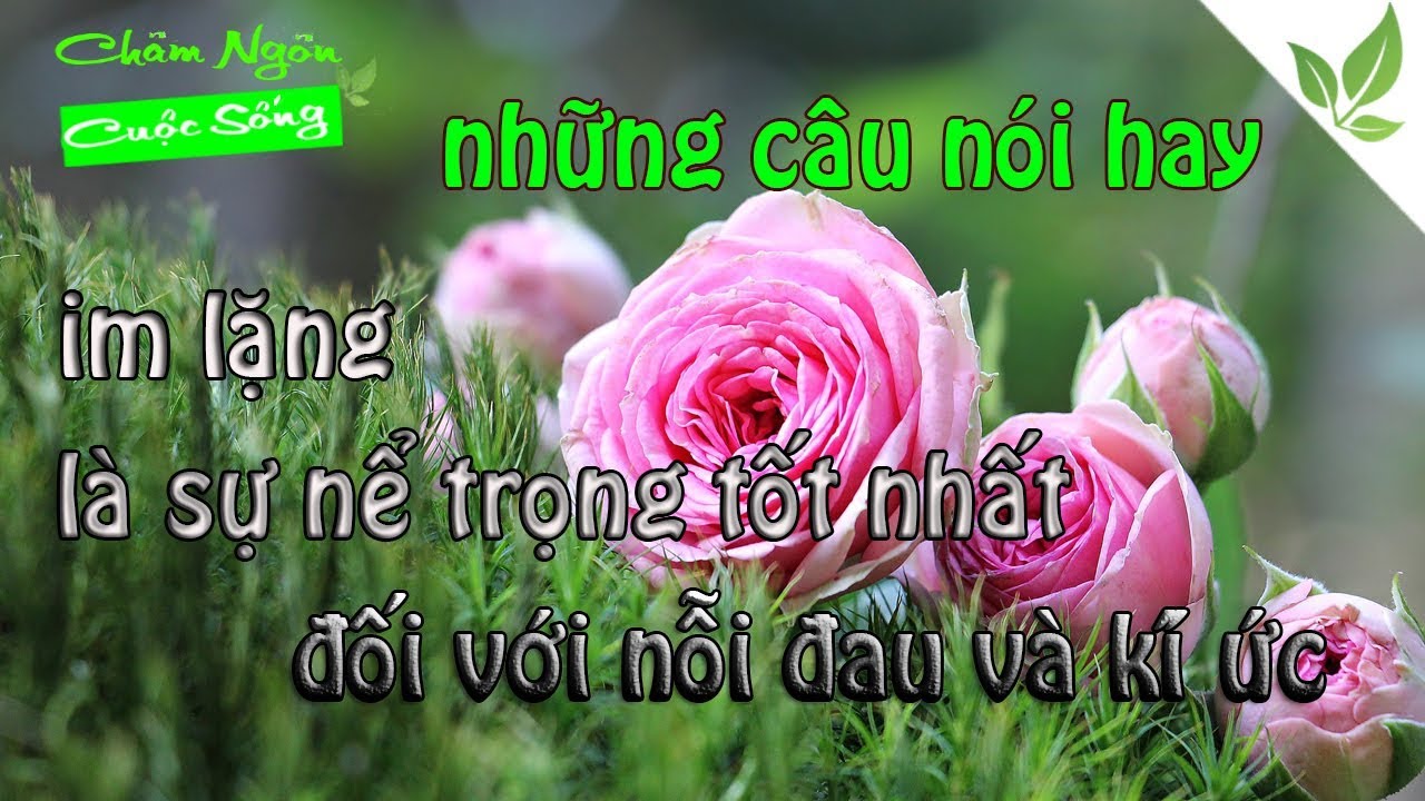 stt hay về cuộc sống - CH&Acirc;M NG&Ocirc;N CUỘC SỐNG - lời hay &yacute; đẹp
