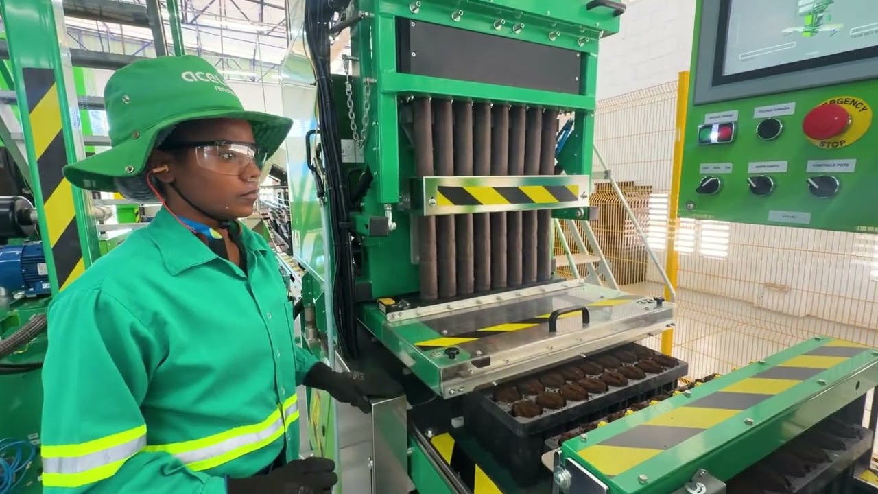 Acelen Agripark: produção de 10,5 milhões de mudas de macaúba por ano